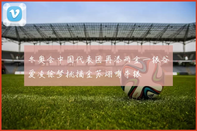 冬奥会中国代表团再添两金一银谷爱凌徐梦桃摘金苏翊鸣夺银