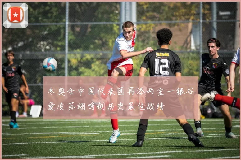 冬奥会中国代表团再添两金一银谷爱凌苏翊鸣创历史最佳战绩